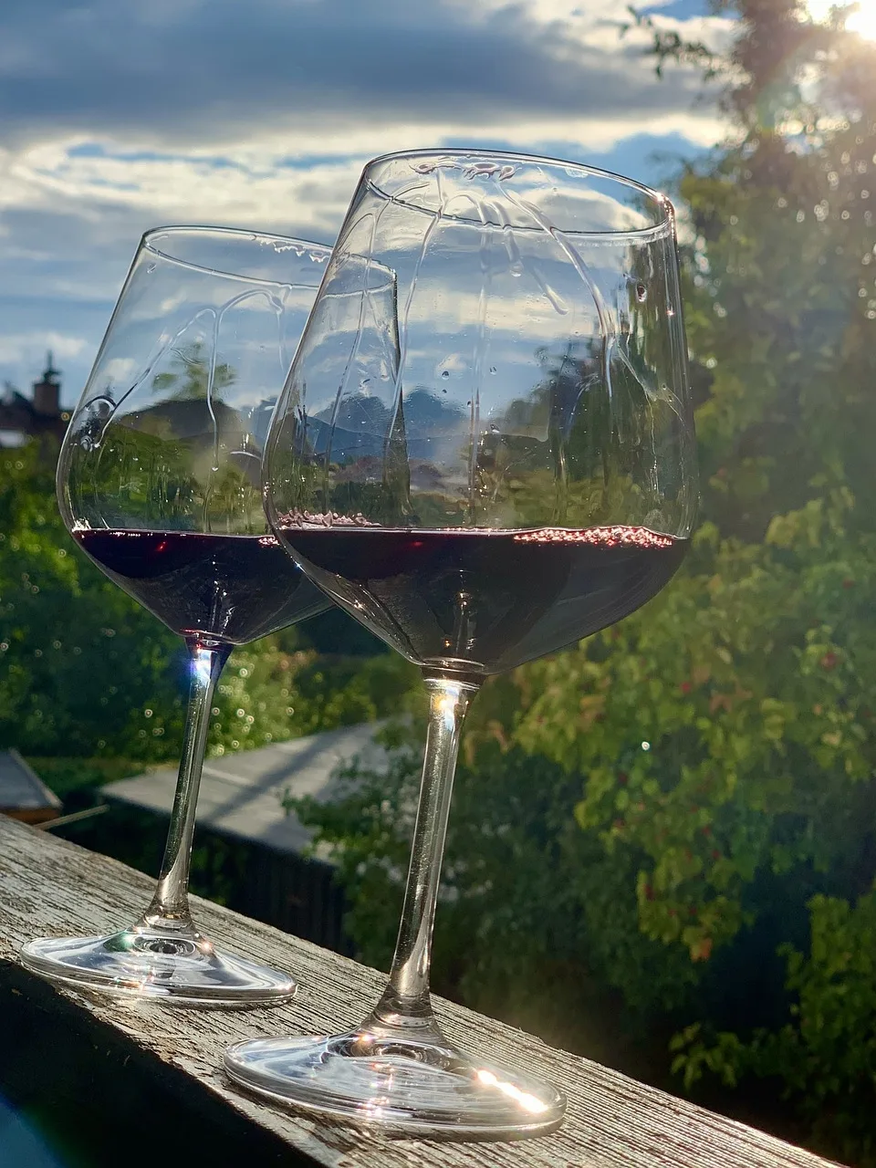 Pourquoi vin rouge ou blanc ?