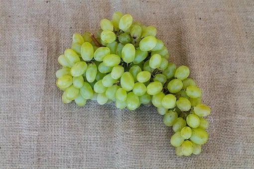 Comment décanter un vin en carafe ?