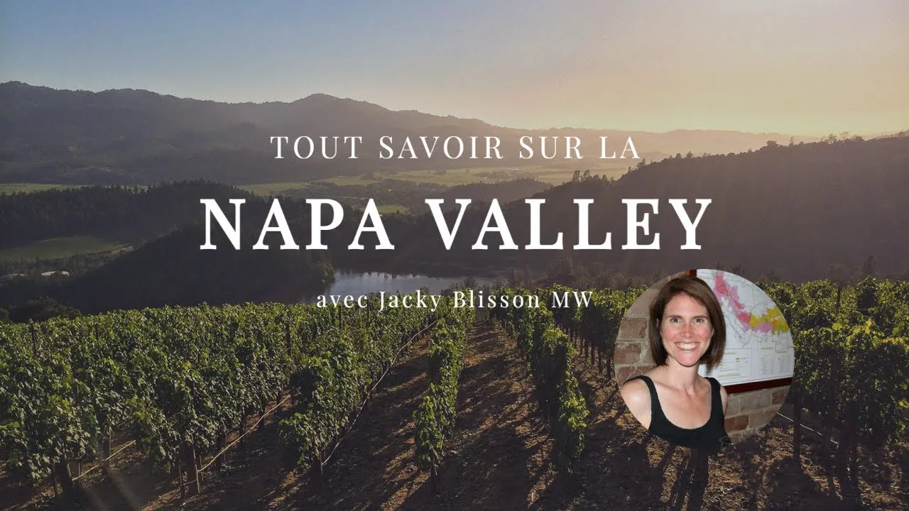 Découvrez les trésors cachés de la Napa Valley : Top des vins haut de gamme qui feront danser vos papilles!
