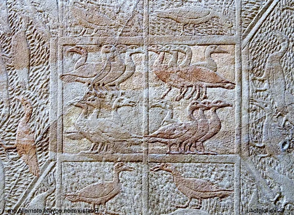 Qui a pris ses jambes à son cou en 5 lettres ?