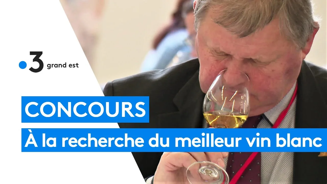 Comment identifier les meilleurs vins blancs?