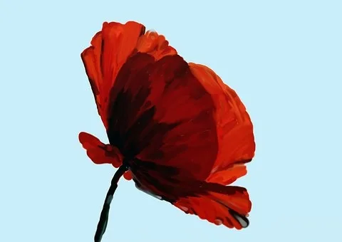 Quel rouge pour peindre un coquelicot ?
