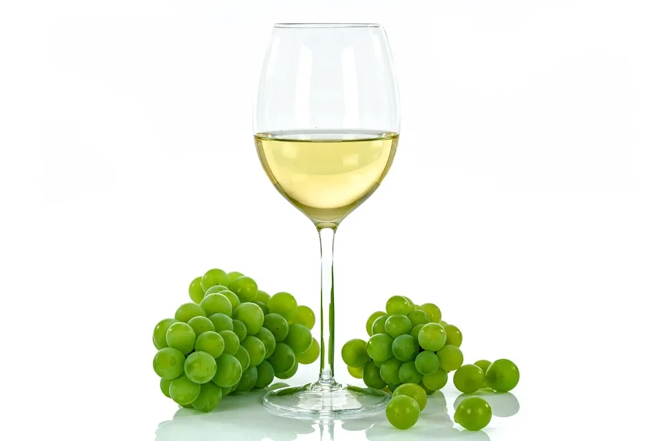 Condrieu : un vin rare et précieux à déguster absolument